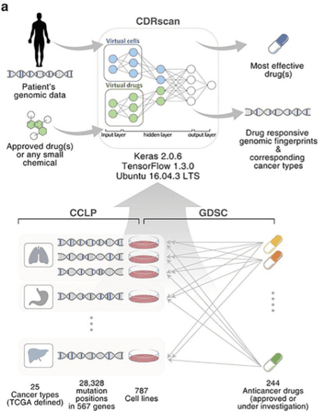 Machine Learning & Cancer Diagnosis Treatment | Globant Blog